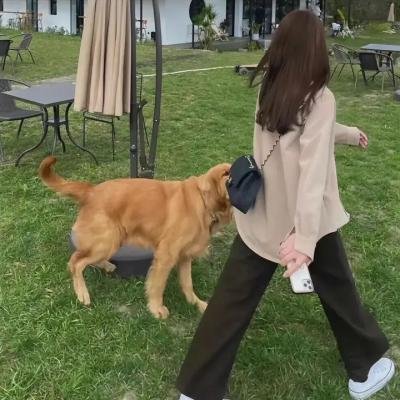 说唱女团第二季